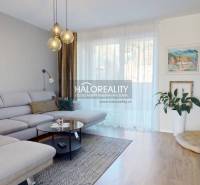 Living room in a family house with a comfortable sofa, wooden decor flooring, and plants.