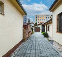 A view of the courtyard of a family house from Školská Street in Senec with a walkway and shrubs.