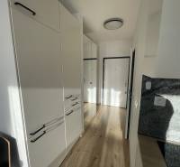 A hallway in a one-room apartment with white cabinets and a wooden decor floor.
