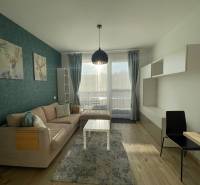 Living room of a one-room apartment with a sofa, deer decoration, and wooden decor flooring.
