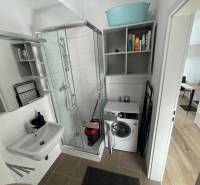 Bathroom with a shower, washing machine, and storage space in a studio apartment.