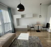 Living room of a one-bedroom apartment with a wooden decor floor and minimalist furniture.
