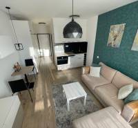 Interior of a one-room apartment with a kitchen, a comfortable sofa, and a floor with a wooden decor.