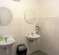 A bathroom with two sinks and round mirrors in an office.