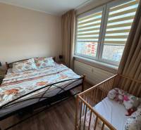 Bedroom in a 4-room apartment with a bed and a baby crib, floor with wooden decor.