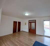 Living room in a 4-room apartment with a wooden decor floor and entrance doors.