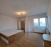 Bedroom in a 4-room apartment with wood-patterned flooring, a bed, and a wardrobe.