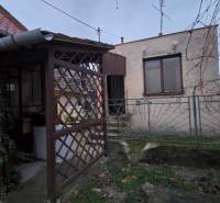 Courtyards of the family house on Hlavná Street in Veľká Mača with a wooden pergola and climbing greenery.