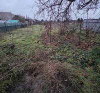 Garden in a family house on Hlavná Street in Veľká Mača, with fencing and nature.