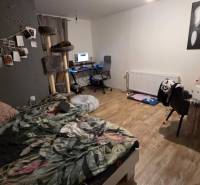 Bedroom in a family house with a computer desk, decorations, and a wooden decor floor.