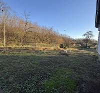 A garden by a family house in Demandice with trees and an extensive grassy area.