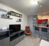 A studio apartment with a TV, shelves, a kitchen counter, and a wooden decor floor.