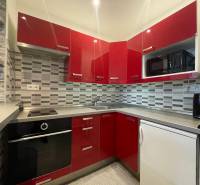 Studio apartment with a built-in kitchen, red cabinets, mosaic tiles, microwave, built-in appliances.