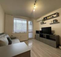 A studio apartment with wood-patterned flooring, a sofa, and a television, minimalist wall decorations.