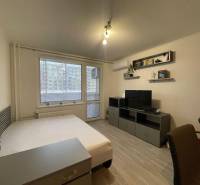 Studio apartment with a bed, television, and floor with wood decor.