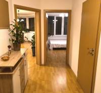 A hallway in a 2-room apartment with a wooden decor floor and plants.