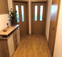 A hallway in a 2-room apartment with a wood-patterned floor and brown doors.