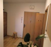 A hallway in a 2-room apartment with a wooden decor floor and a green plant.