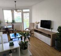 Living room in a two-room apartment with a wooden-patterned floor and lots of plants.