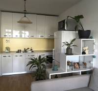 A kitchen in a 2-room apartment with white cabinets and a wooden decor floor.