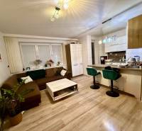 Living room and kitchen in a 2-room apartment with a wooden decor floor.