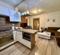 A kitchen connected to the living room in a two-room apartment, a floor with a wooden decor, a comfortable sofa.