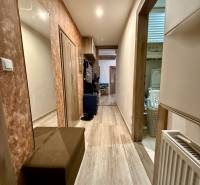A hallway in a 2-room apartment with a wooden-patterned floor, a mirror, and a shoe cabinet.