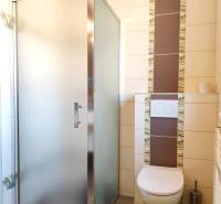 A bathroom in a family house with a toilet, shower, and tiles with a decorative pattern.
