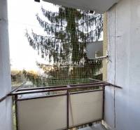 A balcony with a view of a coniferous tree in a 3-room apartment in Banská Bystrica.
