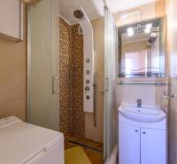 A bathroom with a shower, sink, and washing machine in a 2-room apartment.