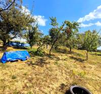 A garden by the cottage in Partizánske with fruit trees and a blue swimming pool.