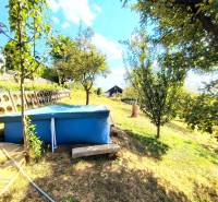 In the picture, there is a garden with a swimming pool and a cottage surrounded by trees and greenery.