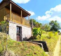 In the picture, there is a wooden cabin surrounded by greenery and an adjacent road.