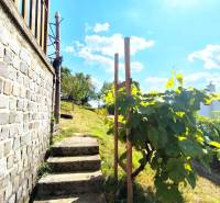 Stone steps next to the cottage with vines and a view of the surrounding nature.