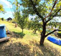 On the slope, there are trees, a lawn, a cottage, and a covered pool in a spacious garden.