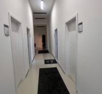 A corridor in offices with white walls and two black carpets on the floor.