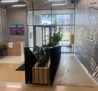 Interior with art on the wall, reception desk, plants, and glass entrance in the office.