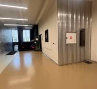 A hallway in offices with a shiny floor, an elevator, and a decorative wall with plants.
