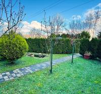 A garden by the cottage in Partizánske with a paved path and a hedge.