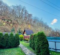 A garden by the cottage in Partizánske with a pool and trees under the hill.