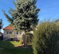 A family house in Machulince with a garden and a lush coniferous tree in front of the house.