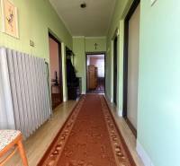 A hallway in a family house with a wooden decor floor and green walls.