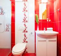 A bathroom in a 2-room apartment with red tiles and a shower, decorated with a floral pattern.