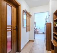 Entrance hallway in a 2-room apartment with wooden decor, featuring a coat rack and a mirror.