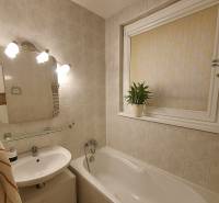 A bathroom in a 4-room apartment with a bathtub, sink, mirror, and a window with a plant.