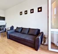 Living room in a one-room apartment with a wooden decor floor, a sofa, and a kitchen.