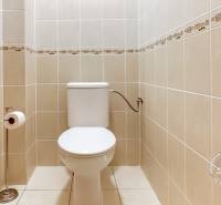 A toilet in a one-room apartment, lined with light tiles, with a toilet paper holder.