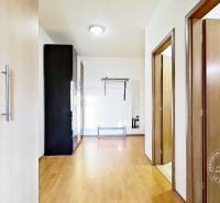 Entrance hallway in a 1-bedroom apartment with wood-patterned flooring and closets.