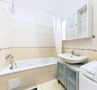 Bathroom with a shower, sink, and washing machine in a studio apartment.