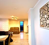 3-room apartment with wooden decor flooring, patterned wall, and bright living room.